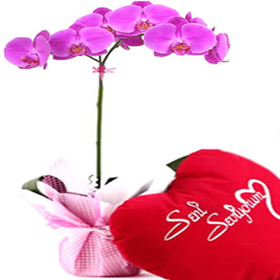 orkide ve kalp yastık